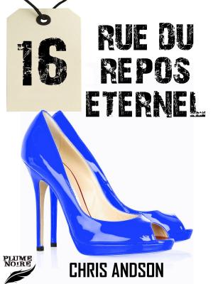 Cover of the book 16 RUE DU REPOS ETERNEL by Laurent Coos