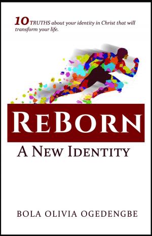Cover of Reborn. A New Identity