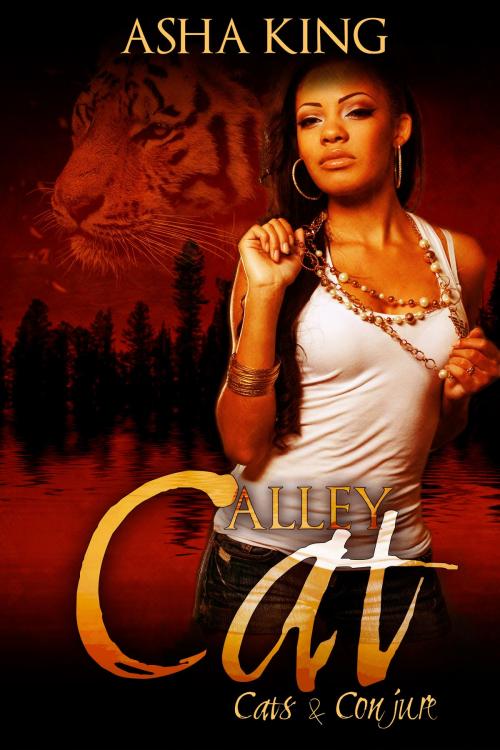 Cover of the book Alley Cat by Asha King, Asha King Books
