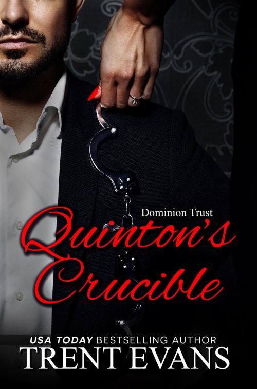 Cover of the book Quinton's Crucible by Trent Evans, Shadow Moon Press