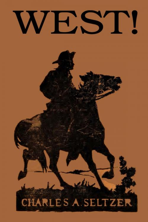 Cover of the book West! (Illustrated Edition) by Charles Alden Seltzer, W. M. Allison, Illustrator, Steve Gabany