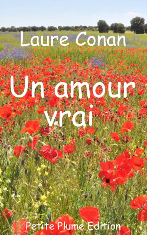 Cover of the book Un amour vrai by Laure Conan, Petite Plume Edition
