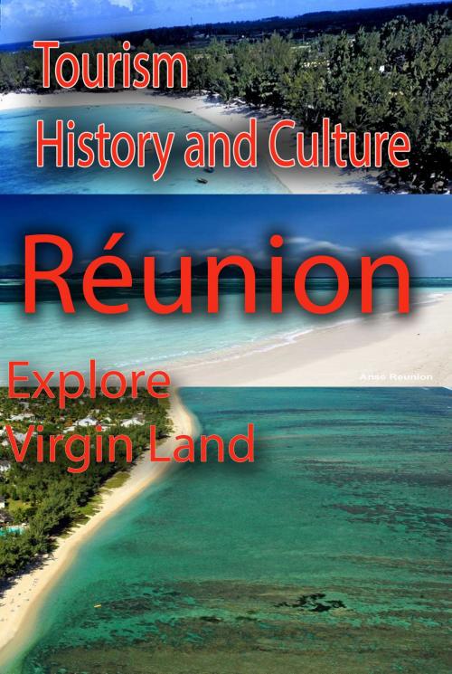 Cover of the book Tourism in Réunion, History and Culture of Reunion by Sampson Jerry, Anderson Jones, Sonit Education Academy