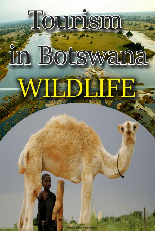 Cover of the book Tourism in Botswana by Sampson Jerry, Sonit Education Academy