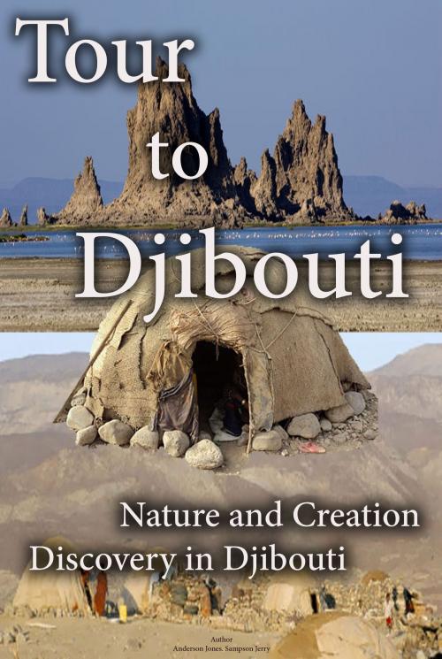 Cover of the book Tour to Djibouti by Sampson Jerry, Sonit Education Academy