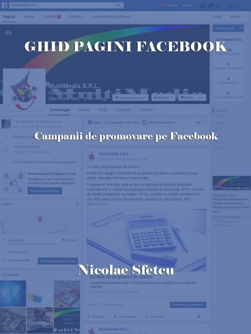 Cover of the book Ghid pagini Facebook by Nicolae Sfetcu, Nicolae Sfetcu
