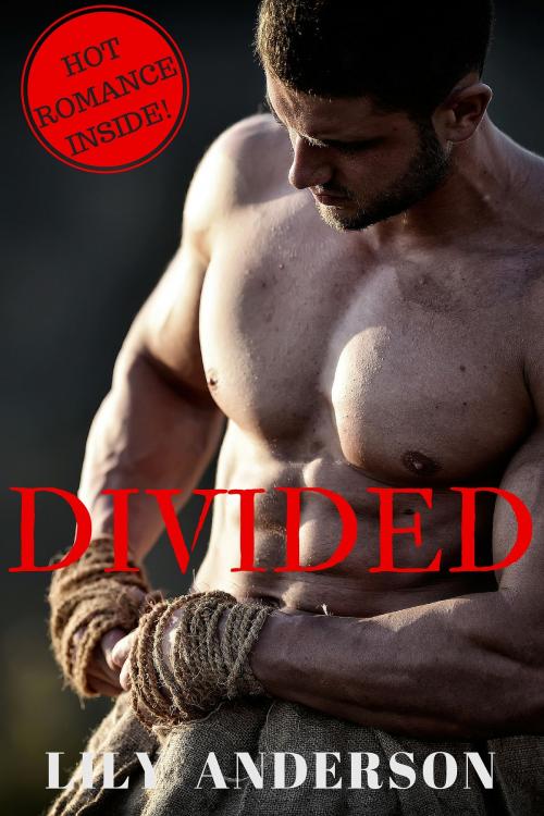 Cover of the book DIVIDED by Lily Anderson, Lily Anderson