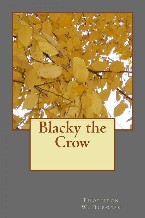 Cover of the book Blacky the Crow (Illustrated Edition) by Thornton W. Burgess, Harrison Cady Illustrator, Steve Gabany