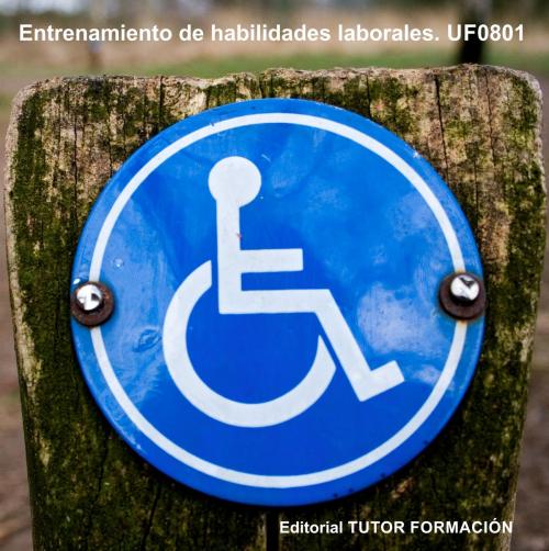 Cover of the book Entrenamiento de habilidades laborales. UF0801 by María Reyes Pérez Urquía, TUTOR FORMACIÓN