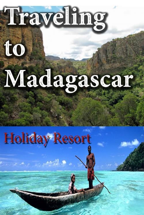 Cover of the book Traveling to Madagascar by Sampson Jerry, Sonit Education Academy
