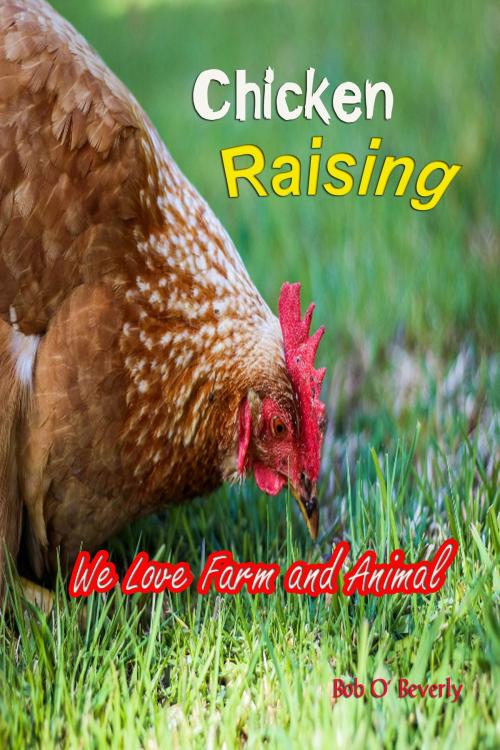 Cover of the book Chicken Raising by Bob O’ Beverly, Chonkanok Kunwanitnawara