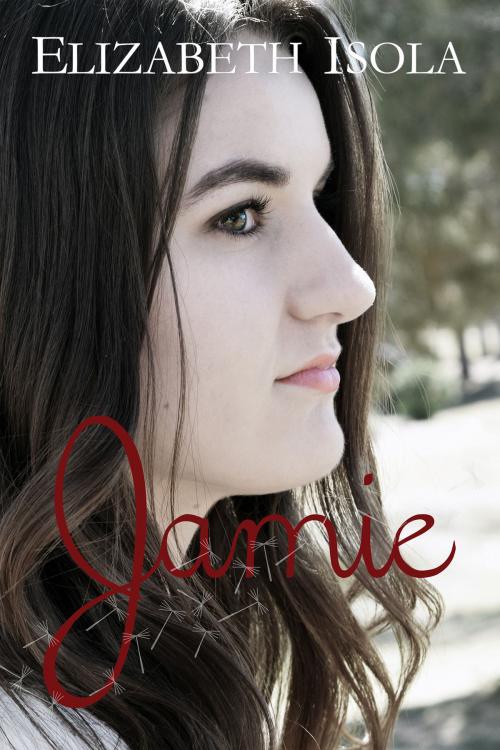Cover of the book Jamie by Elizabeth Isola, Rook Publishing