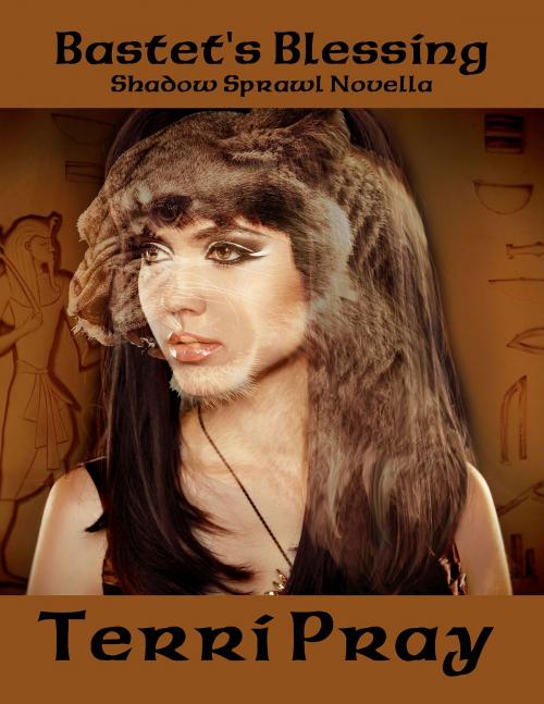 Cover of the book Bastet's Blessing by Terri Pray, Under the Moon