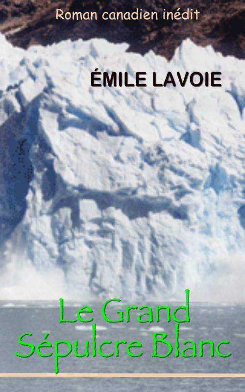 Cover of the book Le grand sépulcre blanc by Émile Lavoie, Albert Fournier, E H
