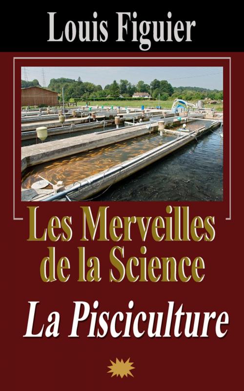 Cover of the book Les Merveilles de la science/La Pisciculture by Louis Figuier, Eric HELAN