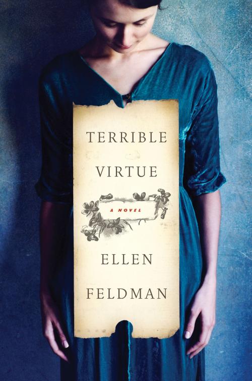 Cover of the book Terrible Virtue by Ellen Feldman, Harper