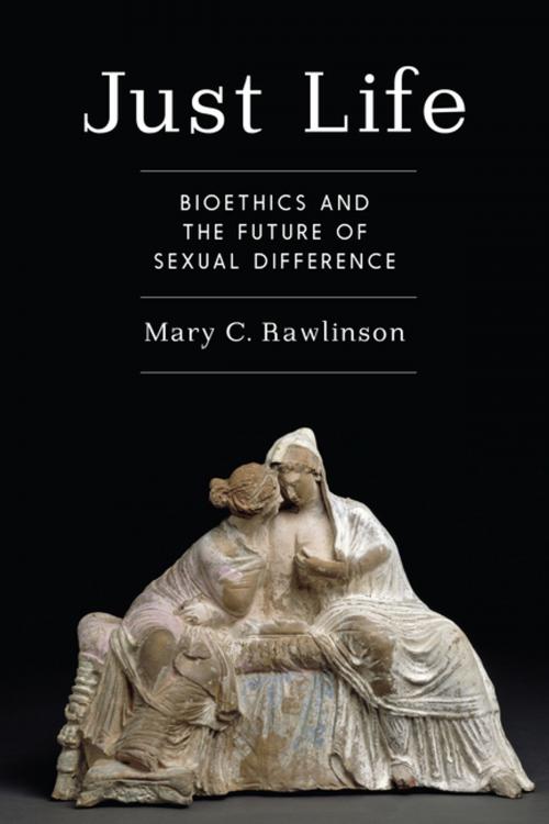 Cover of the book Just Life by Mary Rawlinson, Columbia University Press