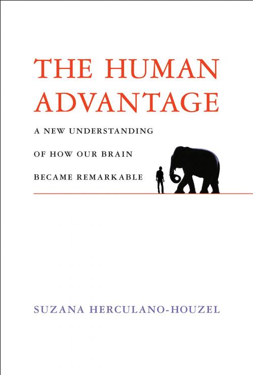 Cover of the book The Human Advantage by Suzana Herculano-Houzel, The MIT Press