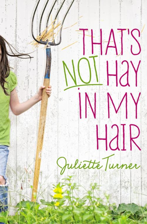 Cover of the book That's Not Hay in My Hair by Juliette Turner, Zonderkidz