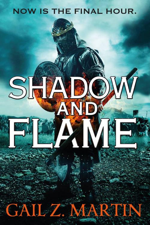 Cover of the book Shadow and Flame by Gail Z. Martin, Orbit