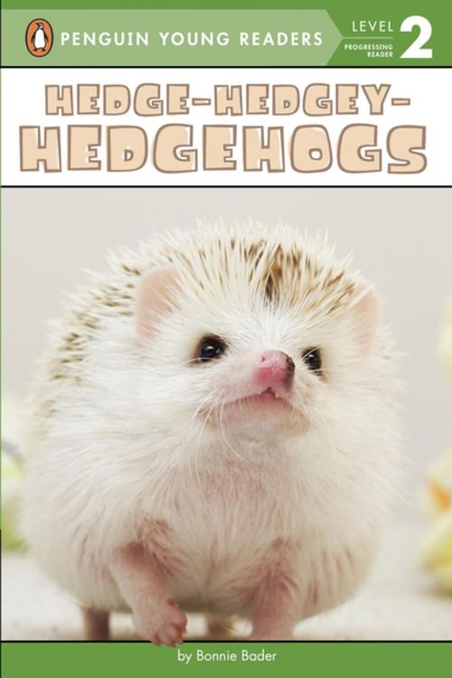 Cover of the book Hedge-Hedgey-Hedgehogs by Bonnie Bader, Penguin Young Readers Group