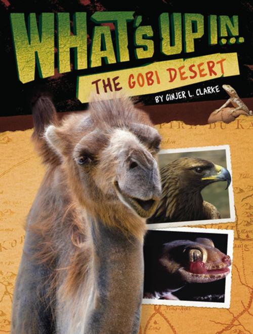 Cover of the book What's Up in the Gobi Desert by Ginjer L. Clarke, Penguin Young Readers Group
