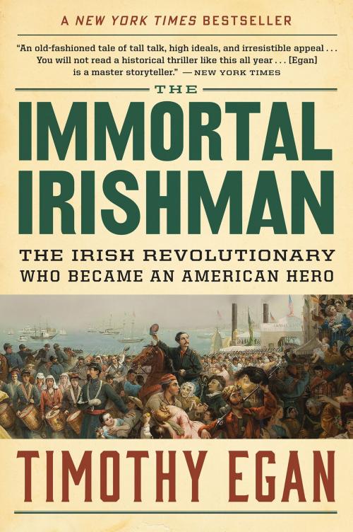 Cover of the book The Immortal Irishman by Timothy Egan, HMH Books