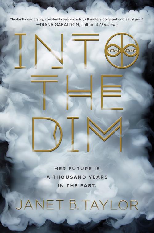 Cover of the book Into the Dim by Janet B. Taylor, HMH Books