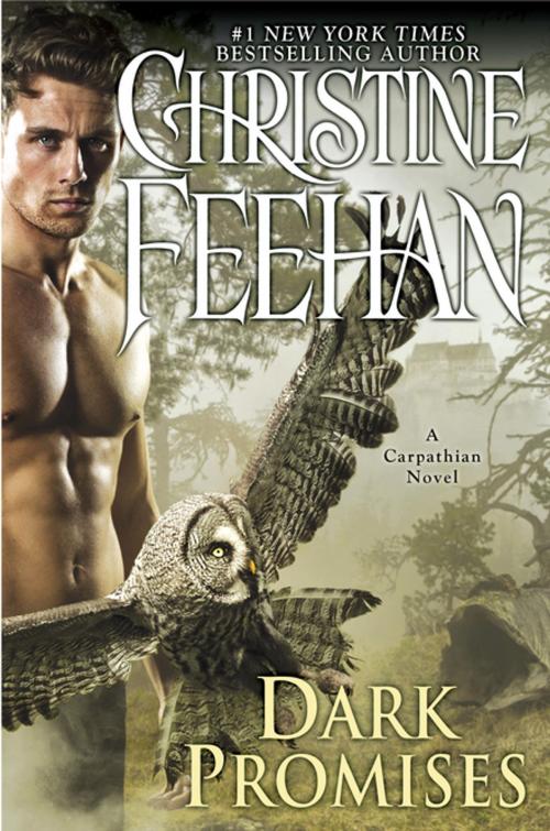 Cover of the book Dark Promises by Christine Feehan, Penguin Publishing Group
