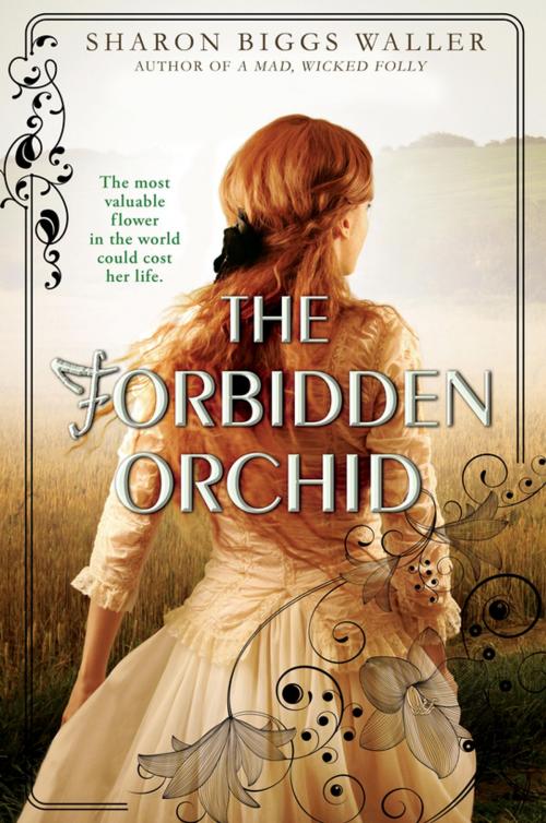 Cover of the book The Forbidden Orchid by Sharon Biggs Waller, Penguin Young Readers Group