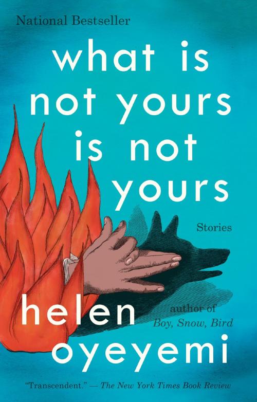 Cover of the book What Is Not Yours Is Not Yours by Helen Oyeyemi, Penguin Publishing Group