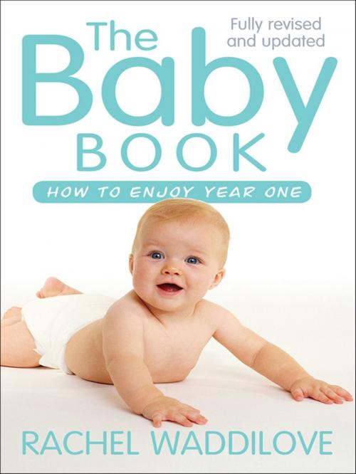 Cover of the book The Baby Book by Rachel Waddilove, Lion Hudson LTD