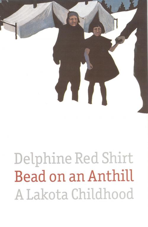 Cover of the book Bead on an Anthill by Delphine Red Shirt, UNP - Nebraska
