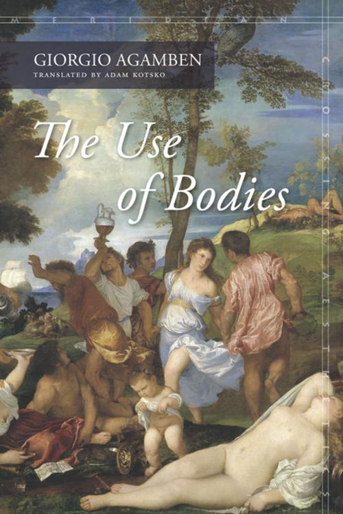 Cover of the book The Use of Bodies by Giorgio Agamben, Stanford University Press