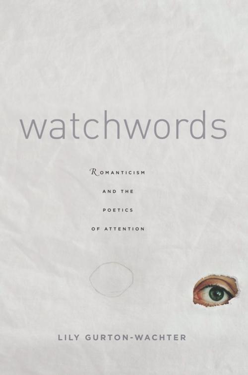 Cover of the book Watchwords by Lily Gurton-Wachter, Stanford University Press