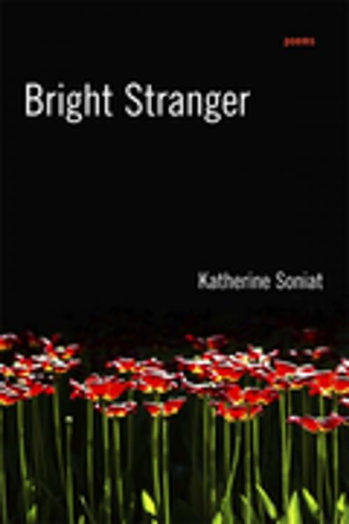 Cover of the book Bright Stranger by Katherine Soniat, LSU Press