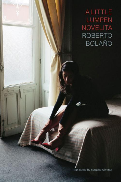 Cover of the book A Little Lumpen Novelita by Roberto Bolaño, New Directions