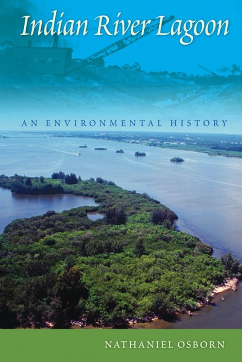 Cover of the book Indian River Lagoon by Osborn, Nathaniel, University Press of Florida