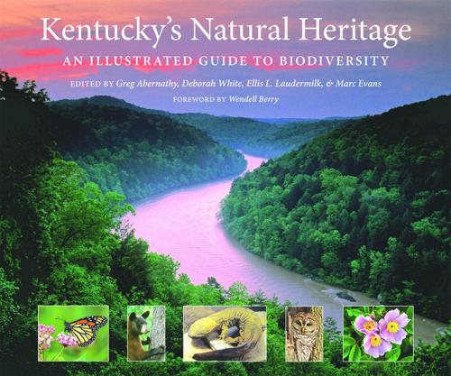Cover of the book Kentucky's Natural Heritage by , The University Press of Kentucky