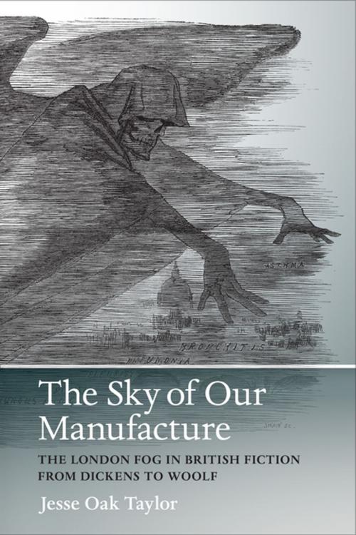 Cover of the book The Sky of Our Manufacture by Jesse Oak Taylor, SueEllen Campbell, University of Virginia Press