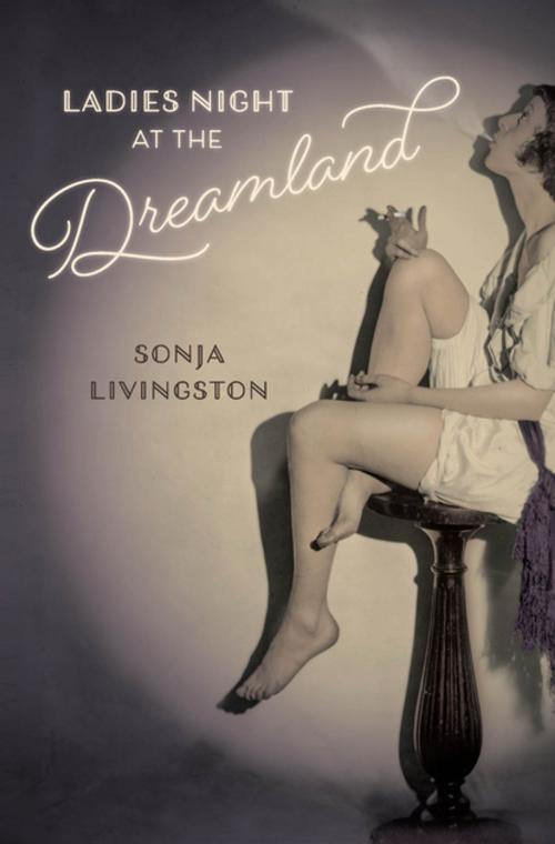 Cover of the book Ladies Night at the Dreamland by Sonja Livingston, University of Georgia Press
