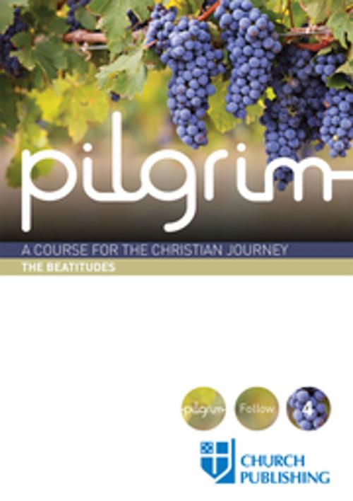 Cover of the book Pilgrim by Stephen Cottrell, Steven Croft, Church Publishing Inc.