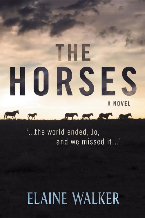Cover of the book The Horses by Elaine WALKER, Xenophon Press LLC