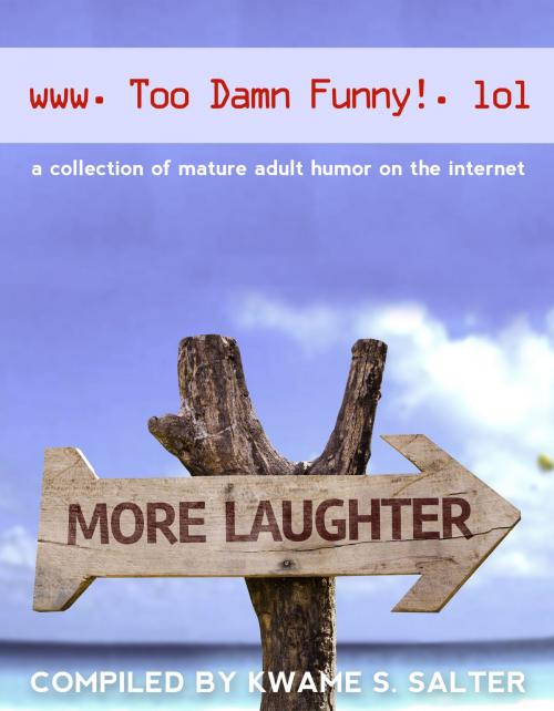 Cover of the book www. Too Damn Funny! .lol by Kwame S. Salter, The Salter Group LLC