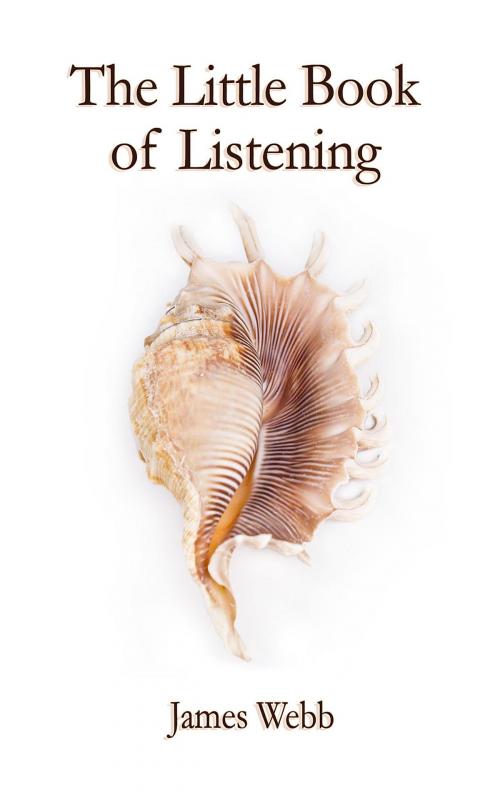 Cover of the book The Little Book of Listening by James Webb, Mark Lewis, Lioness Writing Ltd