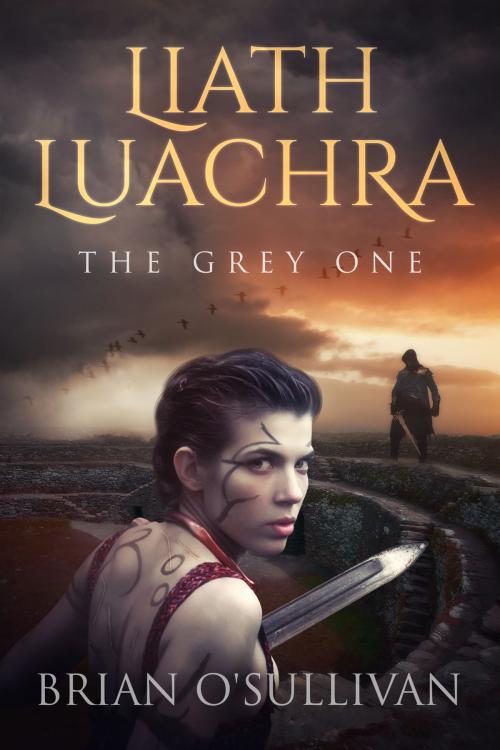 Cover of the book Liath Luachra: The Grey One by Brian O'Sullivan, Irish Imbas Books