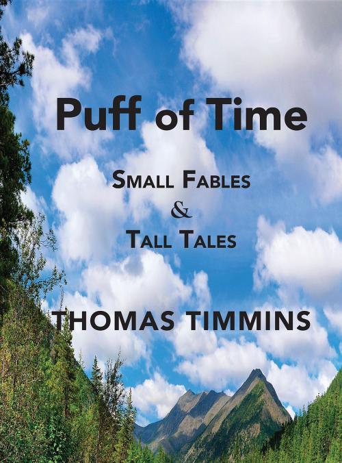 Cover of the book Puff of Time by Thomas Timmins, Zoetown Media