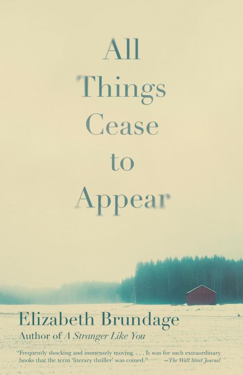 Cover of the book All Things Cease to Appear by Elizabeth Brundage, Knopf Doubleday Publishing Group
