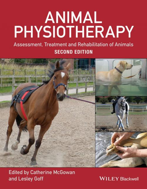 Cover of the book Animal Physiotherapy by , Wiley