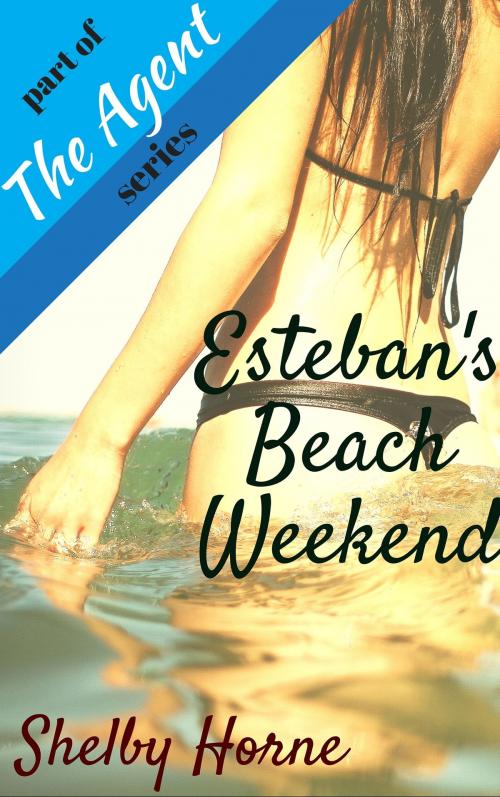 Cover of the book Esteban's Beach Weekend by Shelby Horne, Shelby Horne
